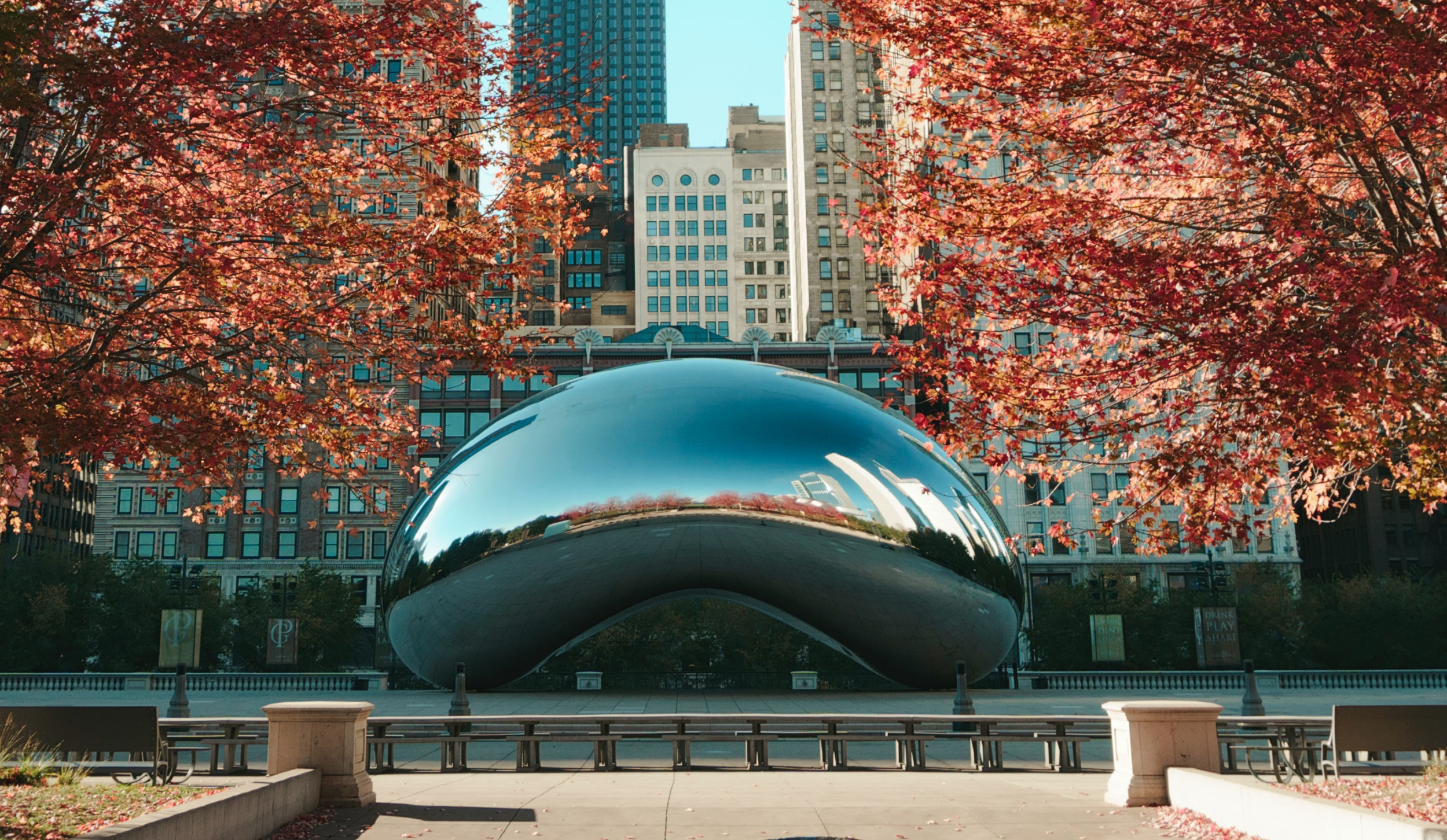 chicago grant park bean in the fall
