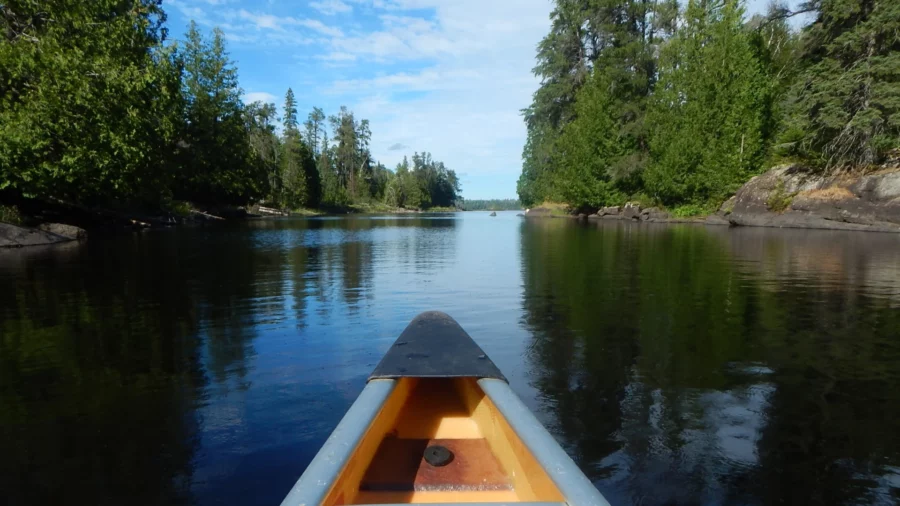 Canoe heading down a tree lined river