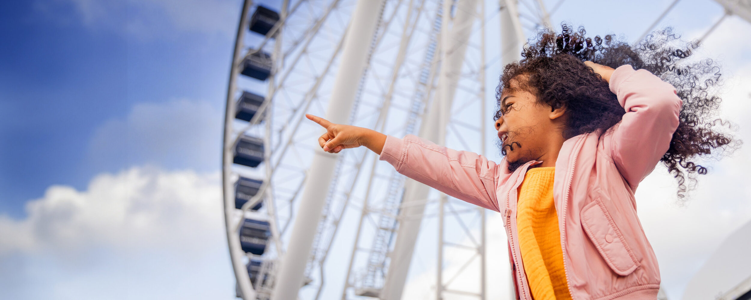 Navy Pier background image
