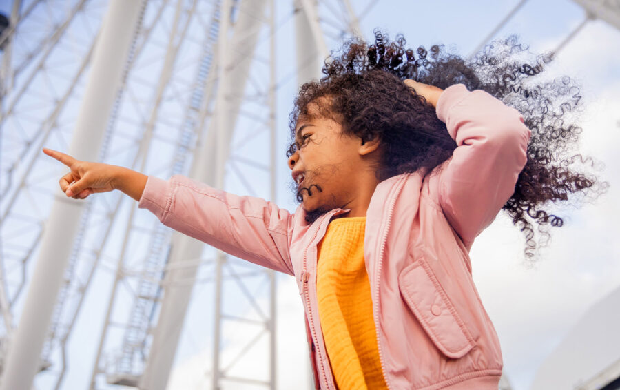 Navy Pier featured image