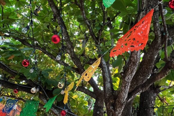 Trees adorned with local flags and decorations, showcasing the cultural heritage and authentic experiences travelers seek in 2025.