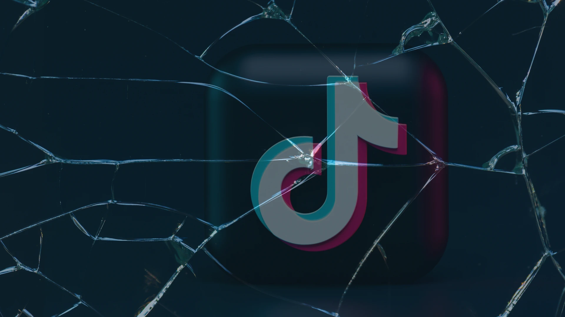 TikTok Ban Banner