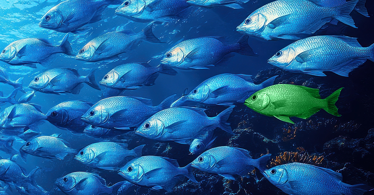 Sea of Sameness