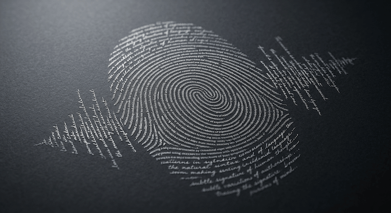 AI watermark fingerprint